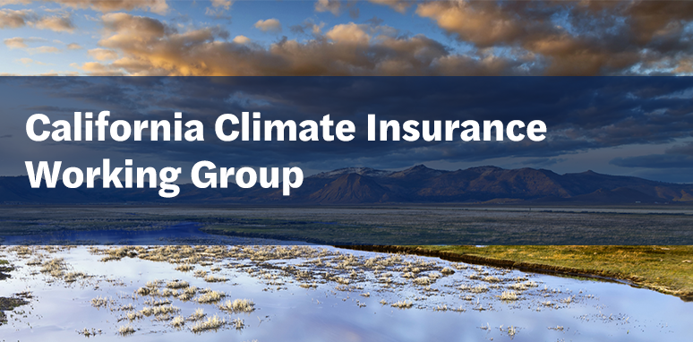 working group header graphic Working Group Header Graphic